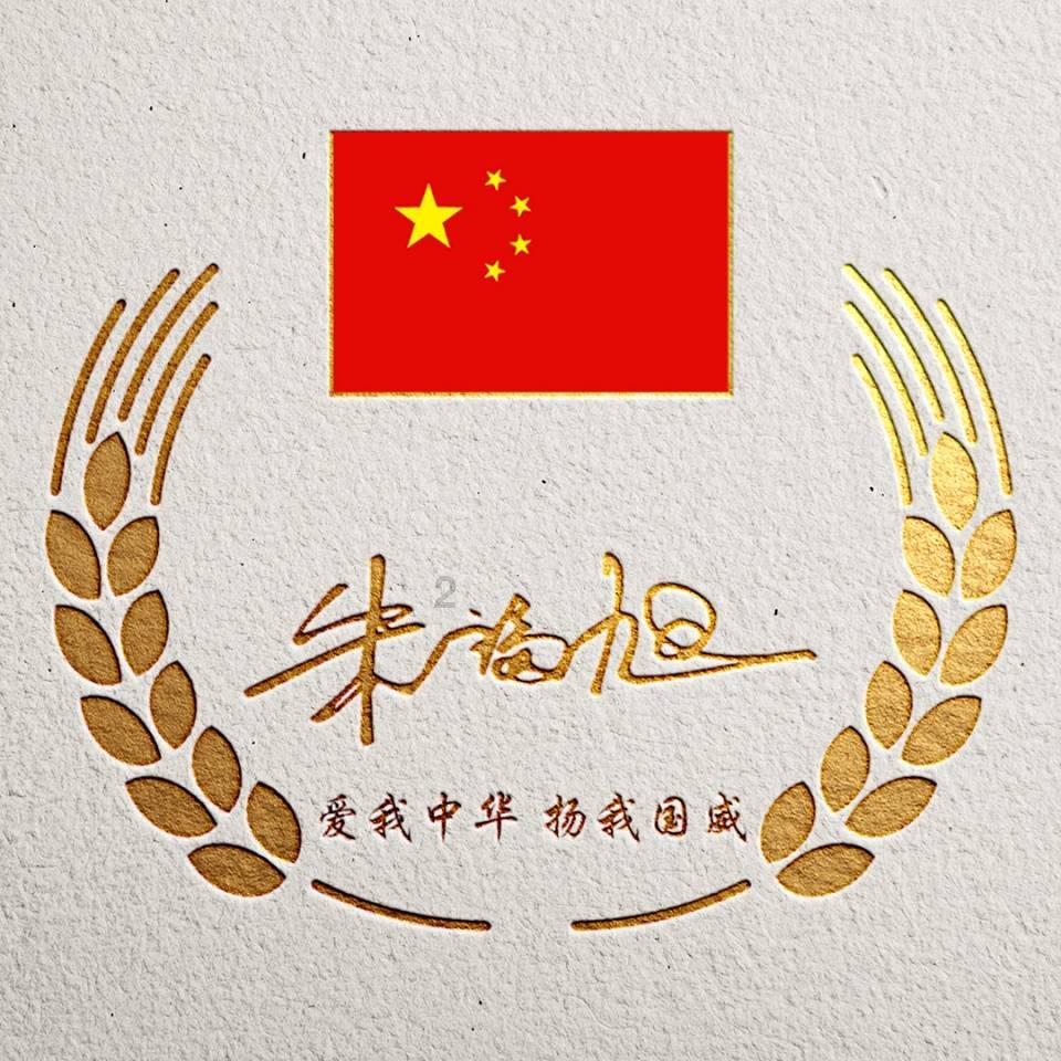 小猫钓鱼正版下载中文版